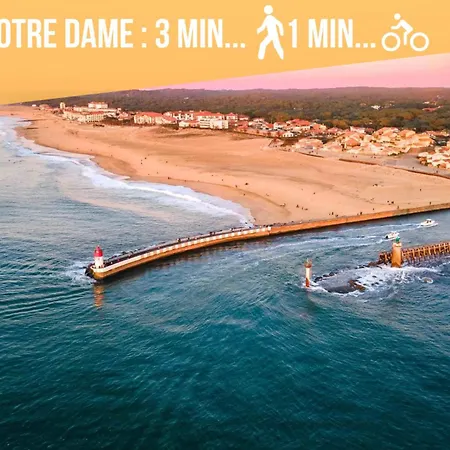 Апартаменты - Notre Dame - - Couple - Surf *